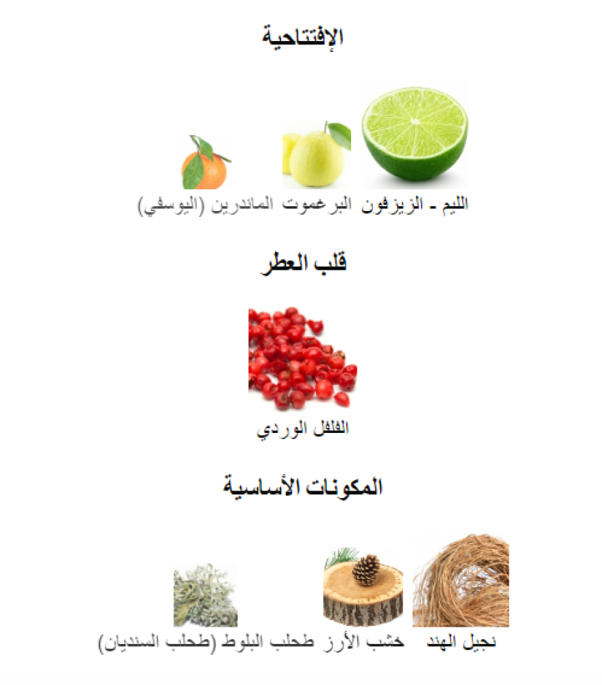اسفاركند ارموند جين عينات