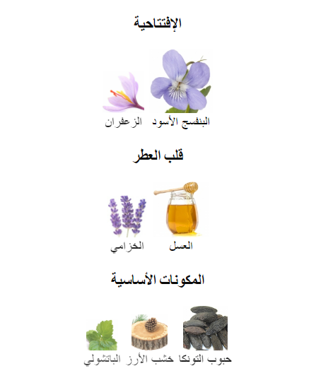 اومو روبرتو كافالي عينات