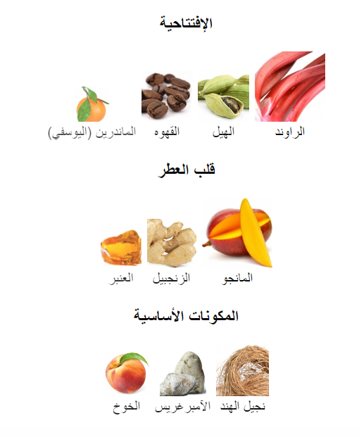 ناركوس فيرتوس عينات