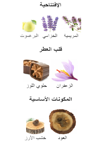 هالتان دي مارلي عينات