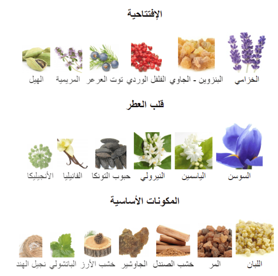 ريفلكشن 45 الجديد امواج تقسيم