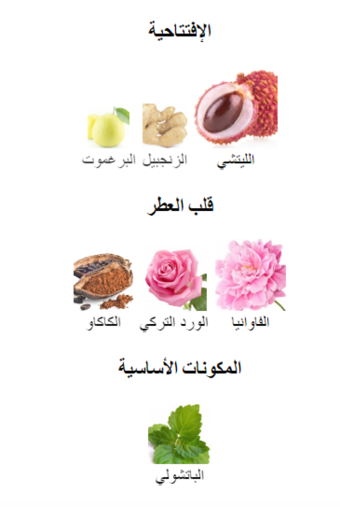 اتراب ريفيس لويس فيتون عينات