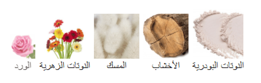 تشاينا وايت ناسوماتو عينات