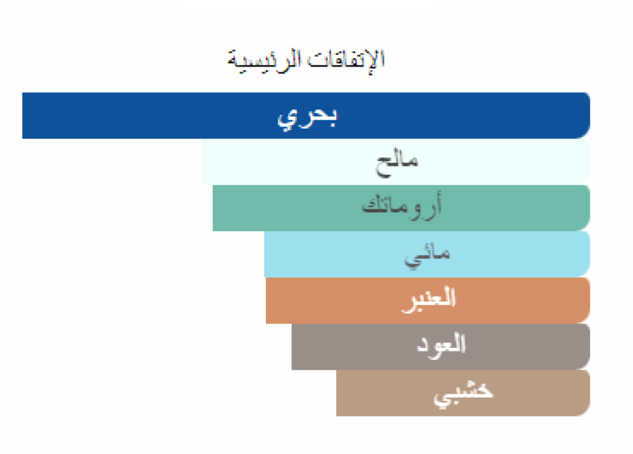 عود مينرال توم فورد تقسيم
