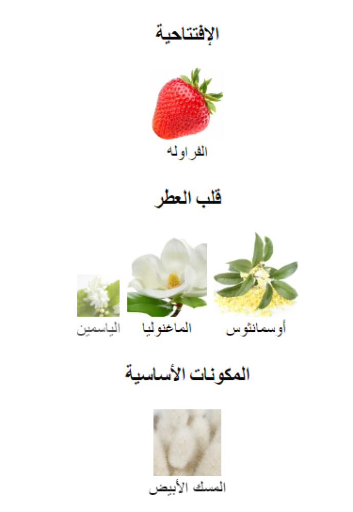 ايتويلي فيلانتي لويس فيتون تقسيم