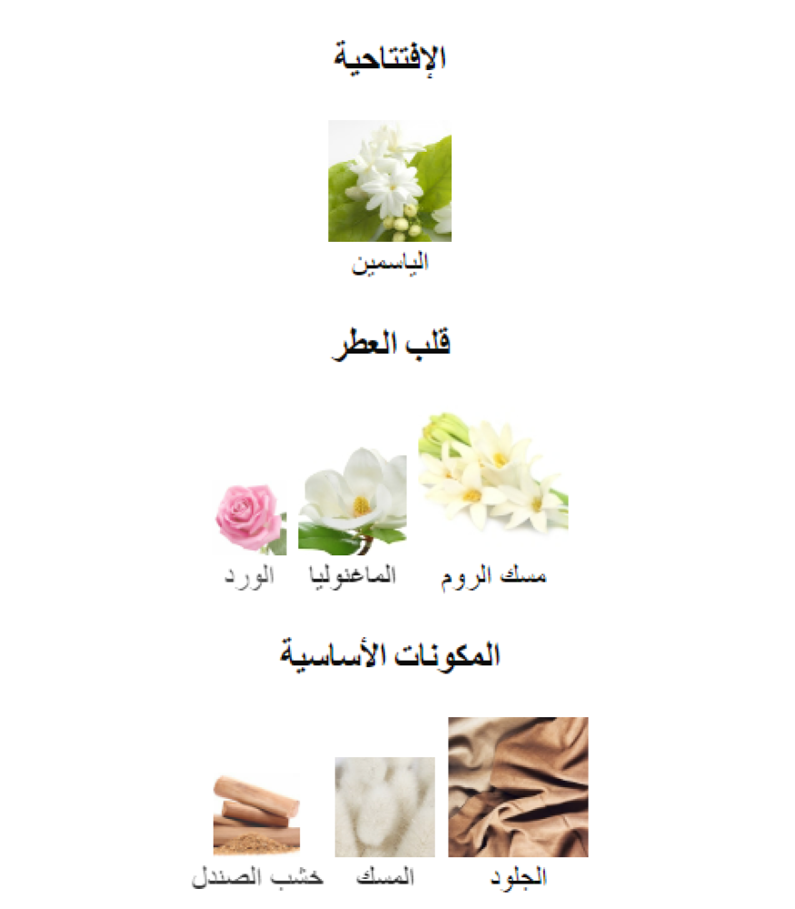 توربولينسز لويس فيتون عينات