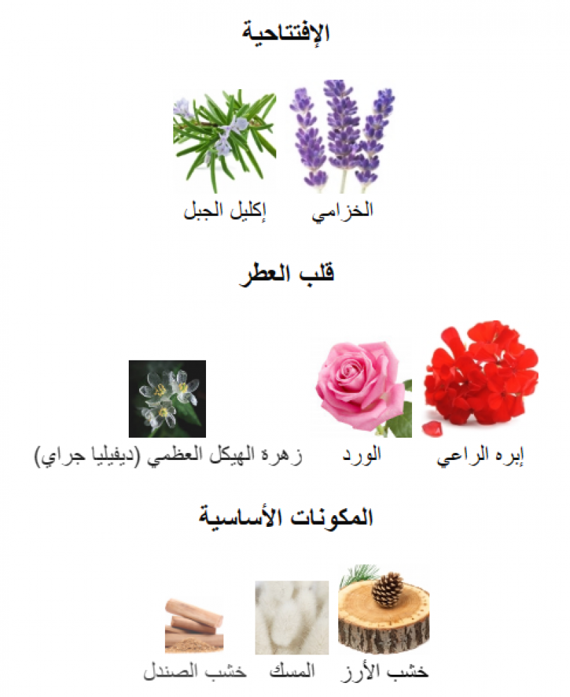 كازا فوتشورا زيرجوف عينات