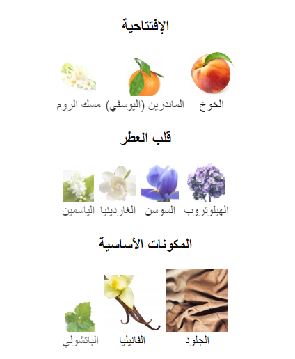 هاندرد سايلنت ويز اكس نيشان 50 مل