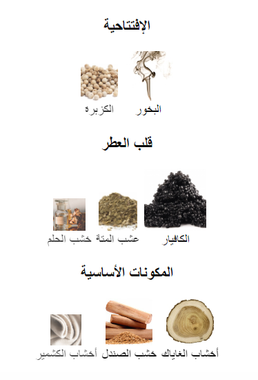 نوار باي نايت اتيلي دو اورس عينات