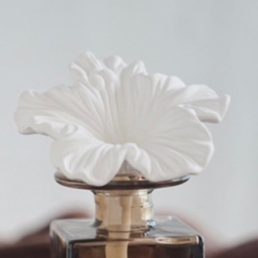 علبة معطر جو بشكل مبتكر و مميز