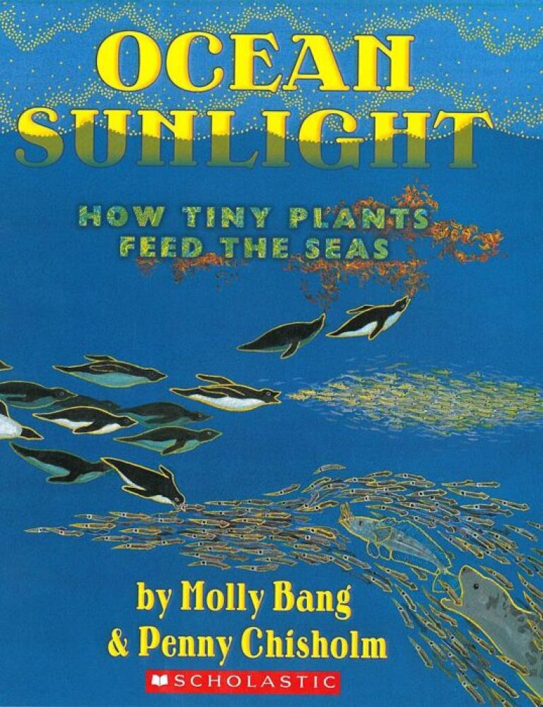 OCEAN SUNLIGHT: HOW TINY PLANTS FEED THE SEAS