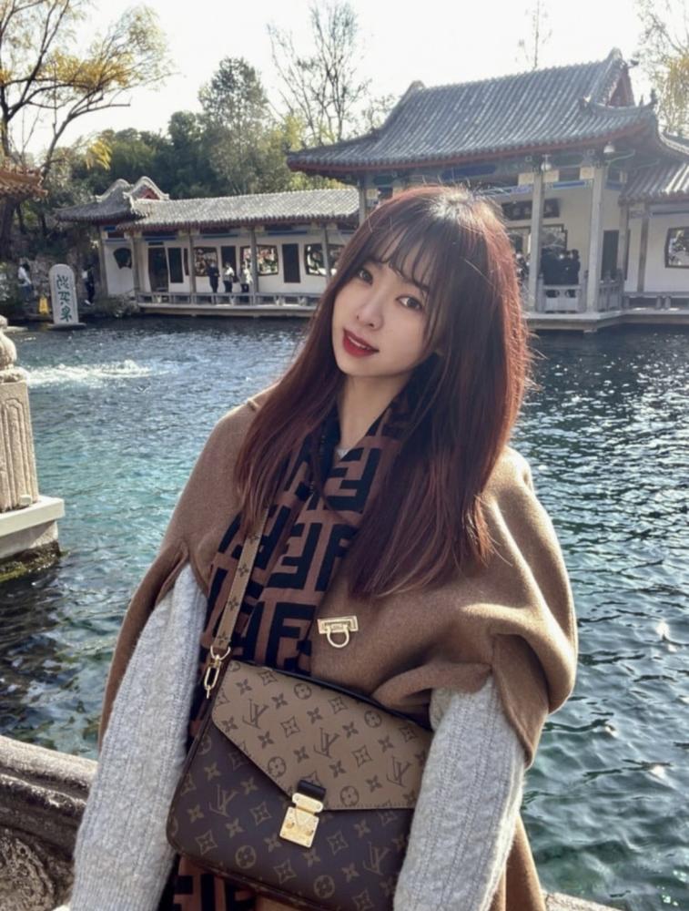 لويس فيتون Pochette Métis مقاس 25cm