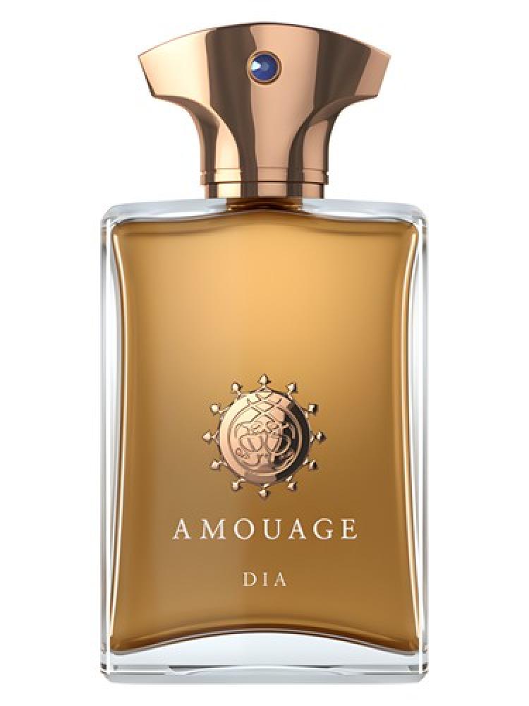 Amouage Dia Eau de Parfum for men 100ml