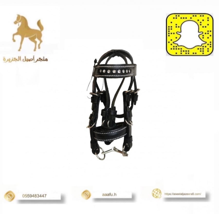 ميدالية خيل على شكل لجام