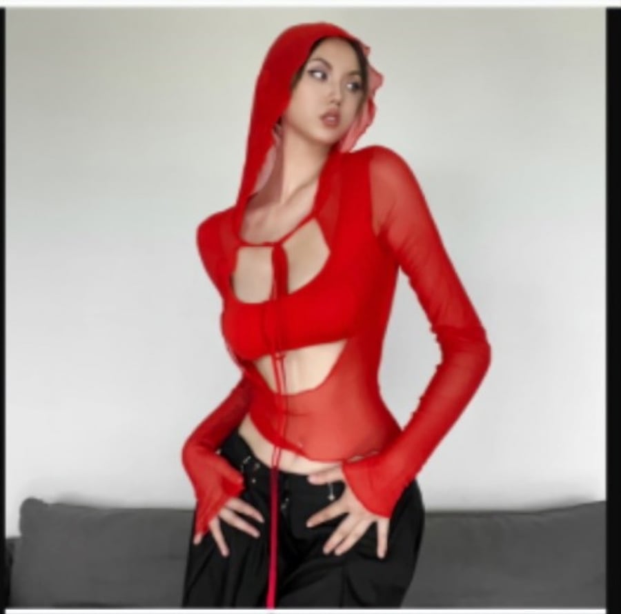Mesh blouse with long sleeves and a hood