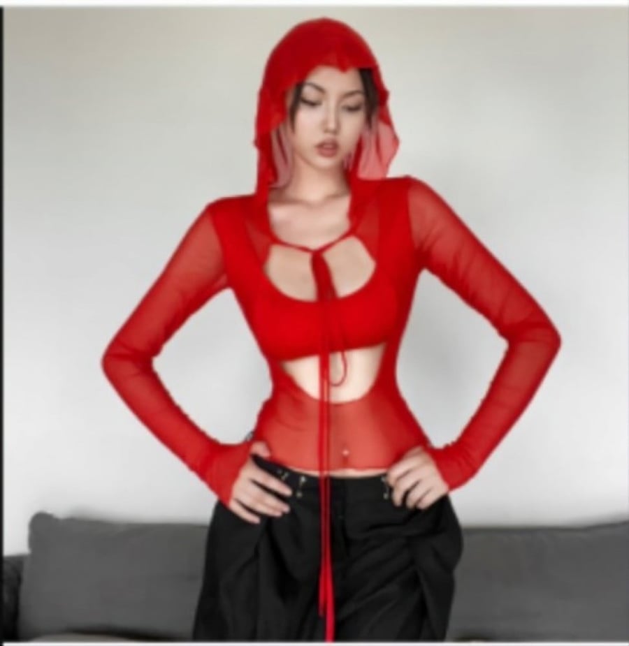 Mesh blouse with long sleeves and a hood