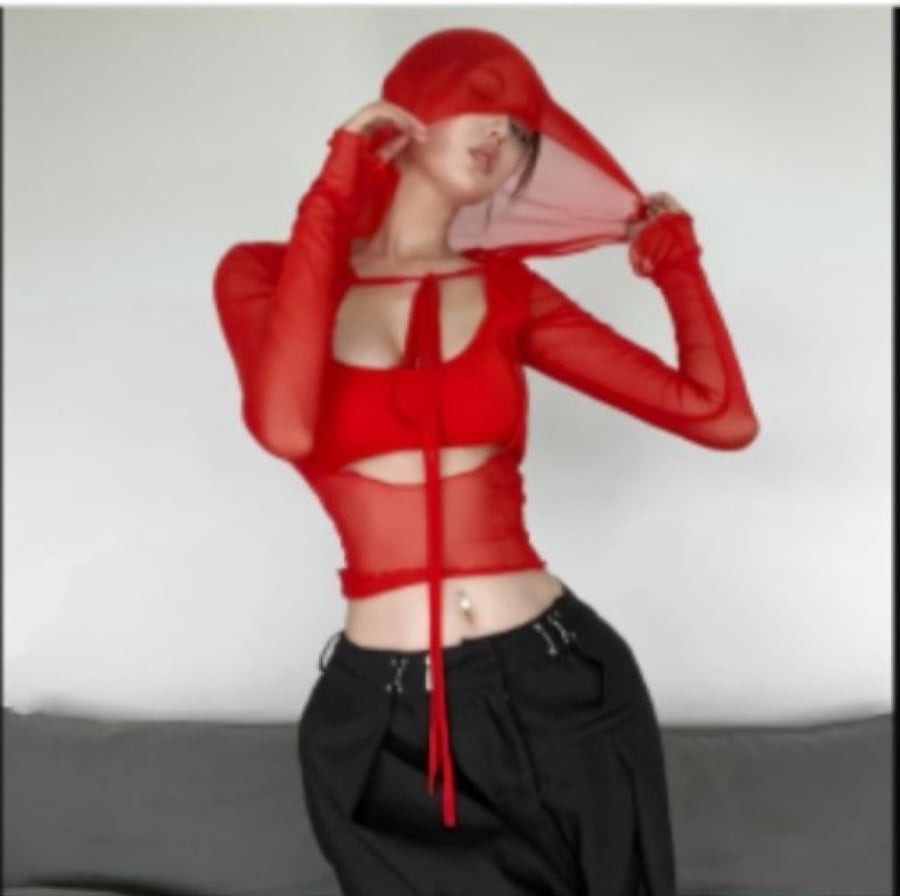 Mesh blouse with long sleeves and a hood