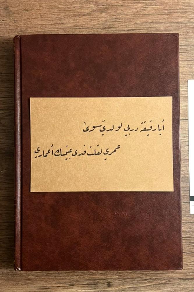 أيا رفيقة دربي - خط يد