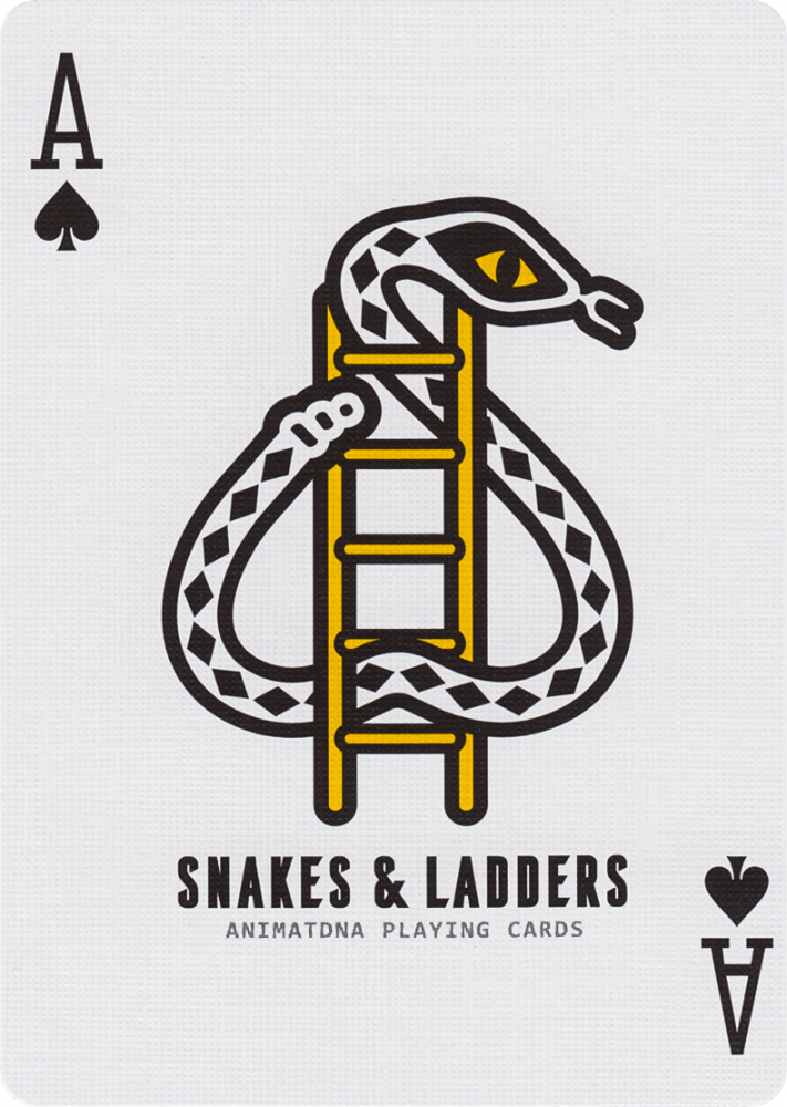 Snakes & Ladders Playing Cards