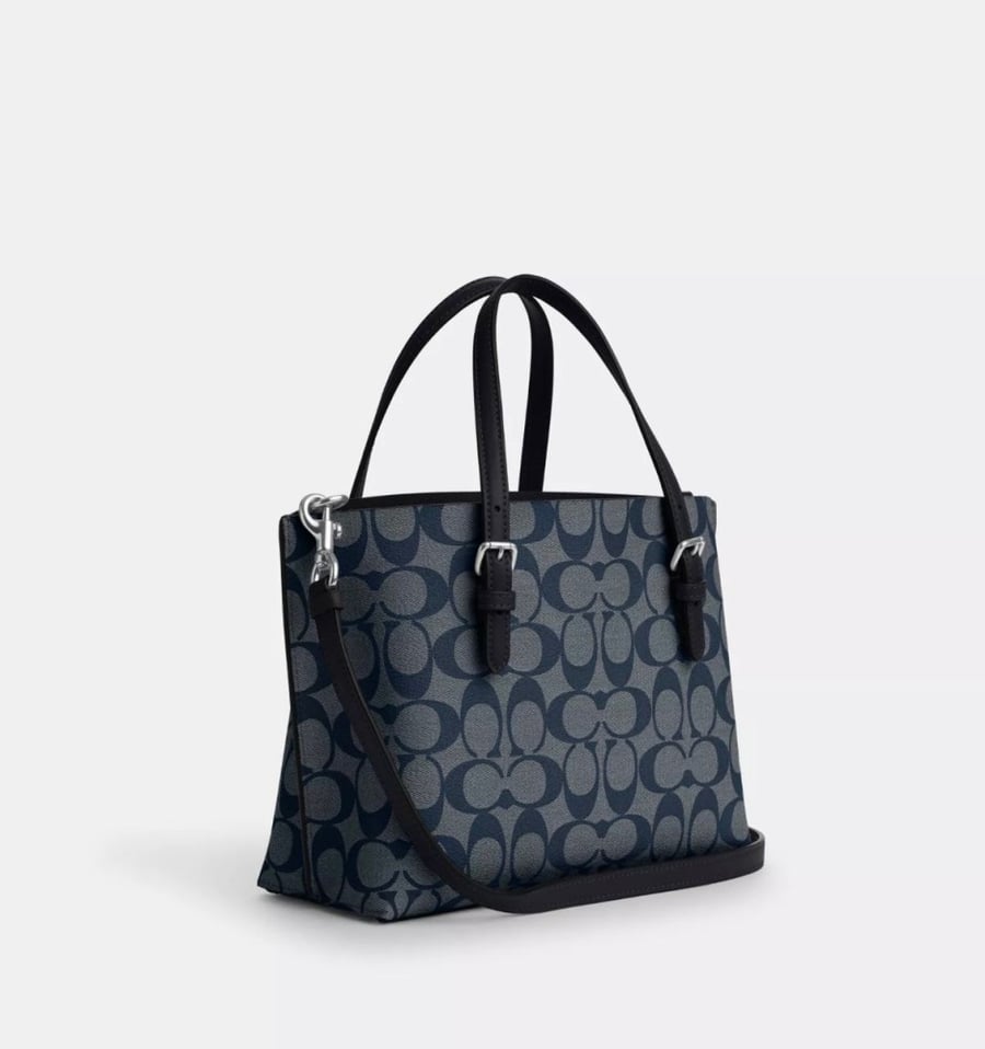 حقيبة من Coach
