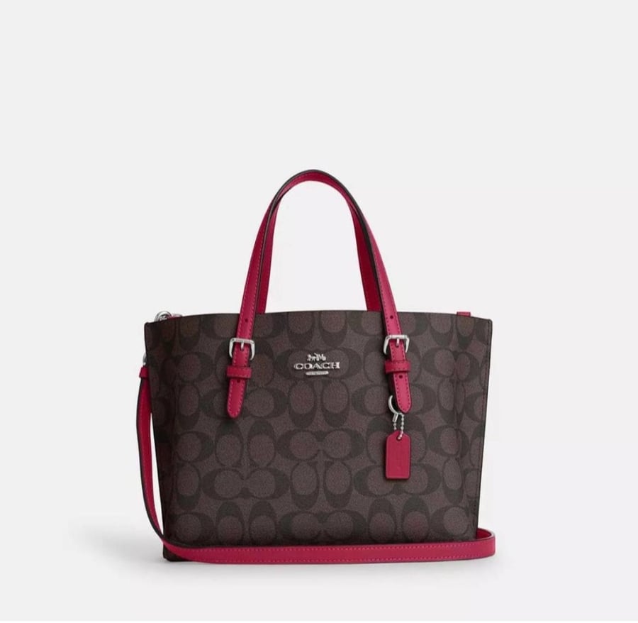 حقيبة من Coach