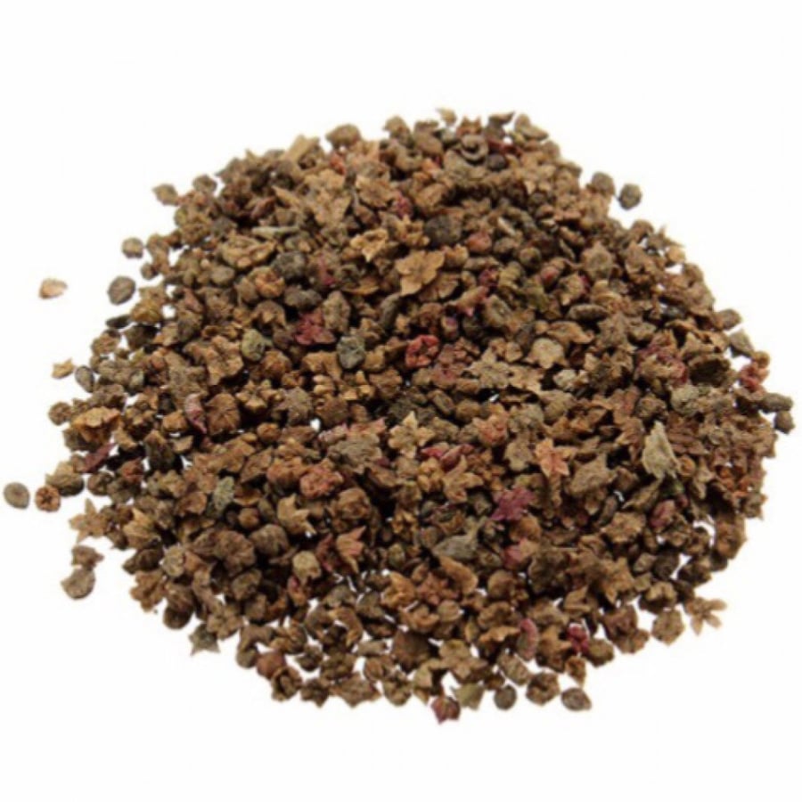 بذور شجرة الكوشيا ( مكنسة الجنة )