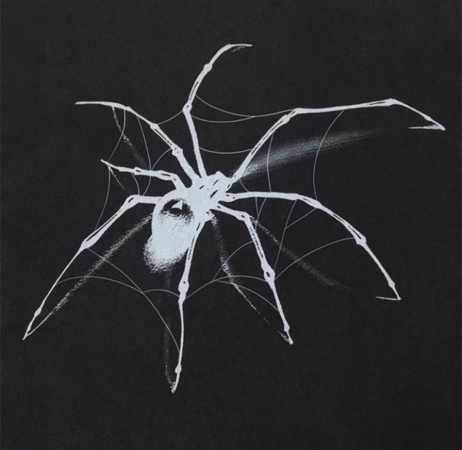 Spider T shirt