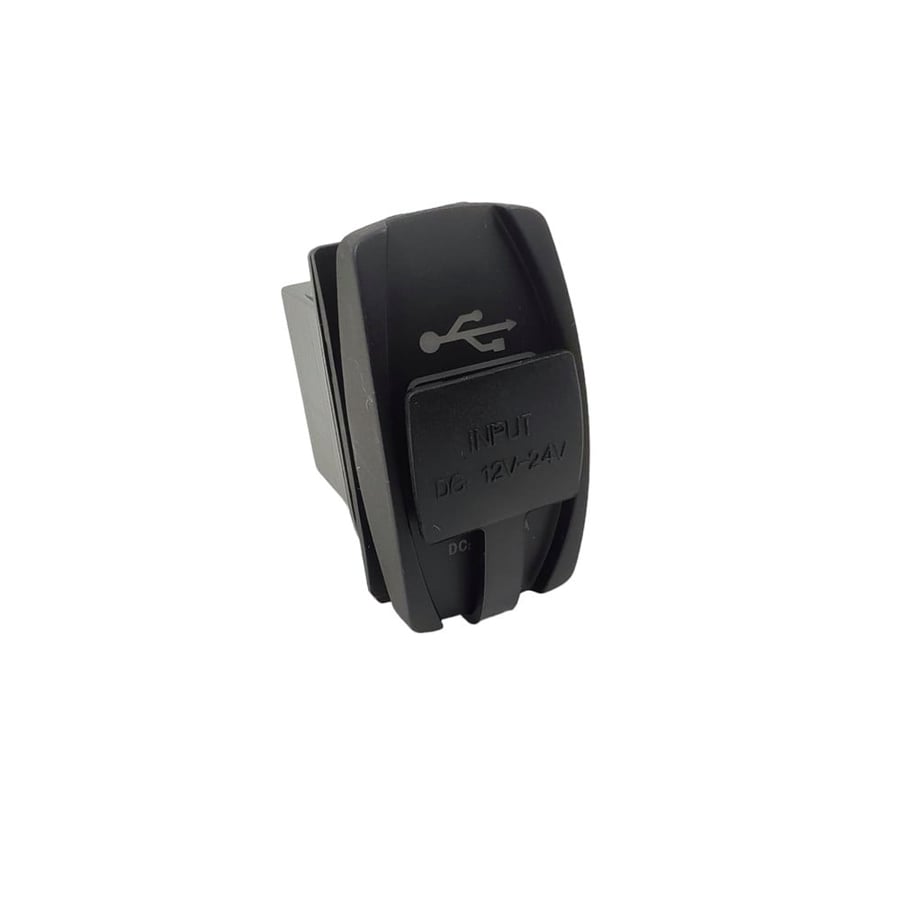 Dual USB port