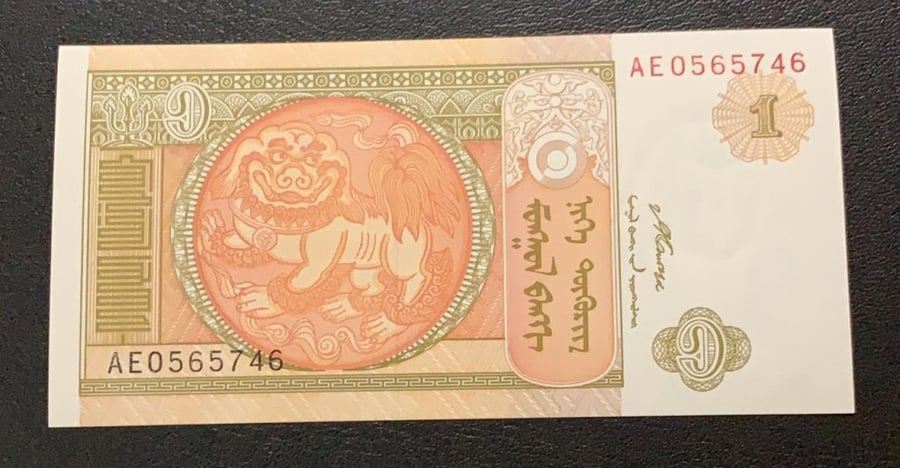 1 تيجر منغوليا انسر