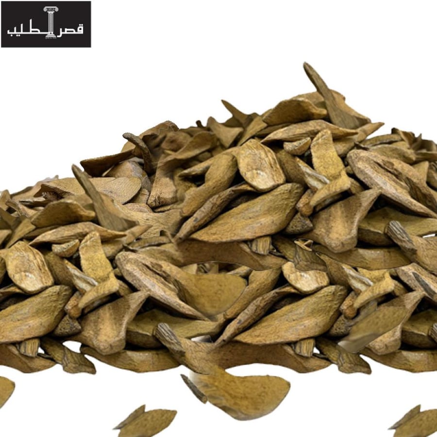 عود النخبة درجة اولى