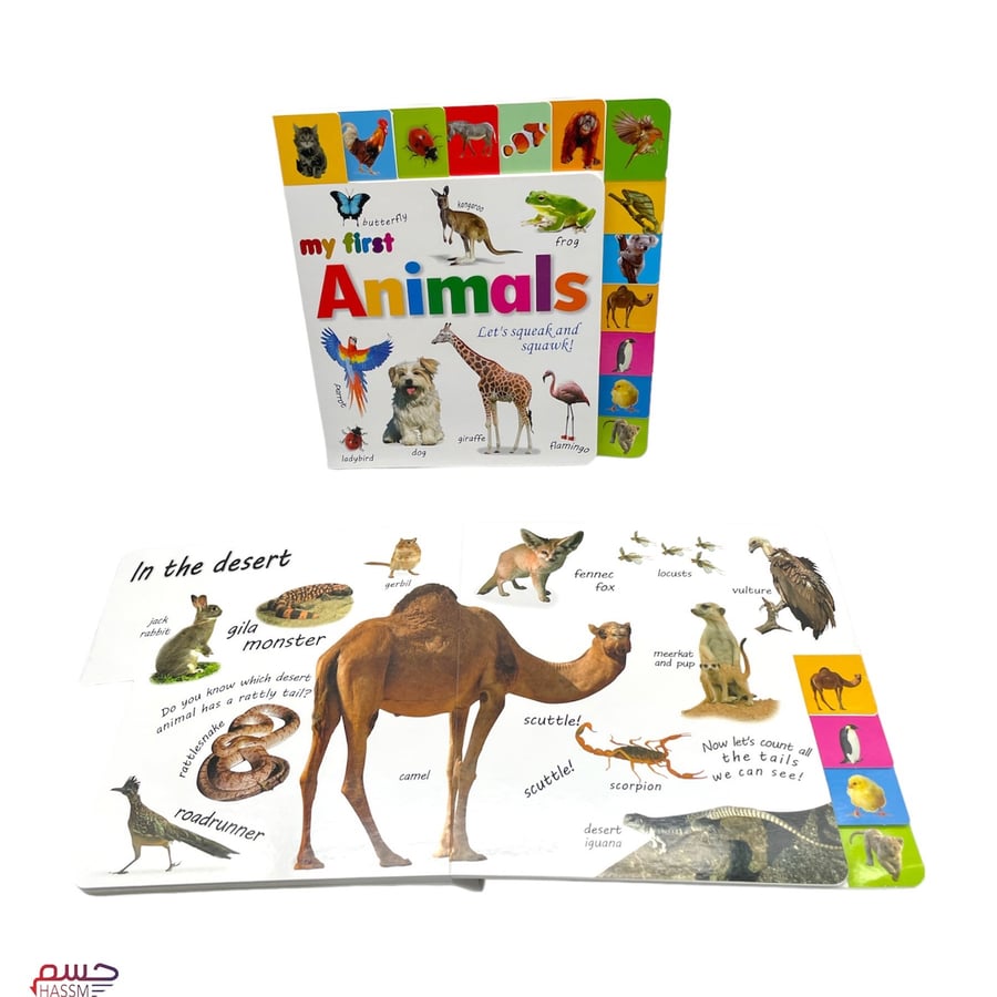 تعلم الحيوانات انجليزي