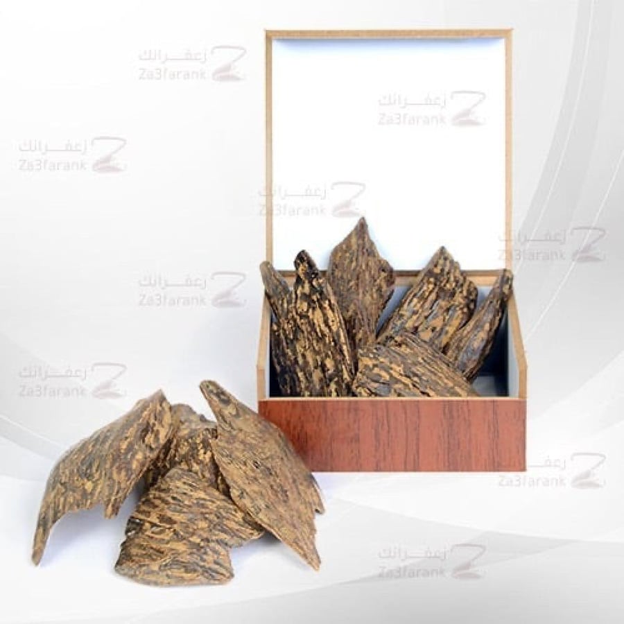عود كلمنتان