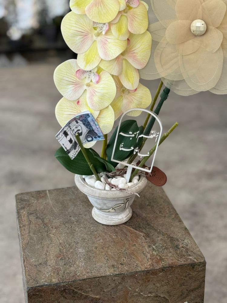 The cement vase with orchid flowers