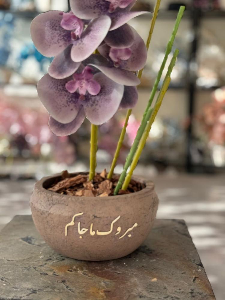 فازة الاسمنت مع ورد الاوركيد