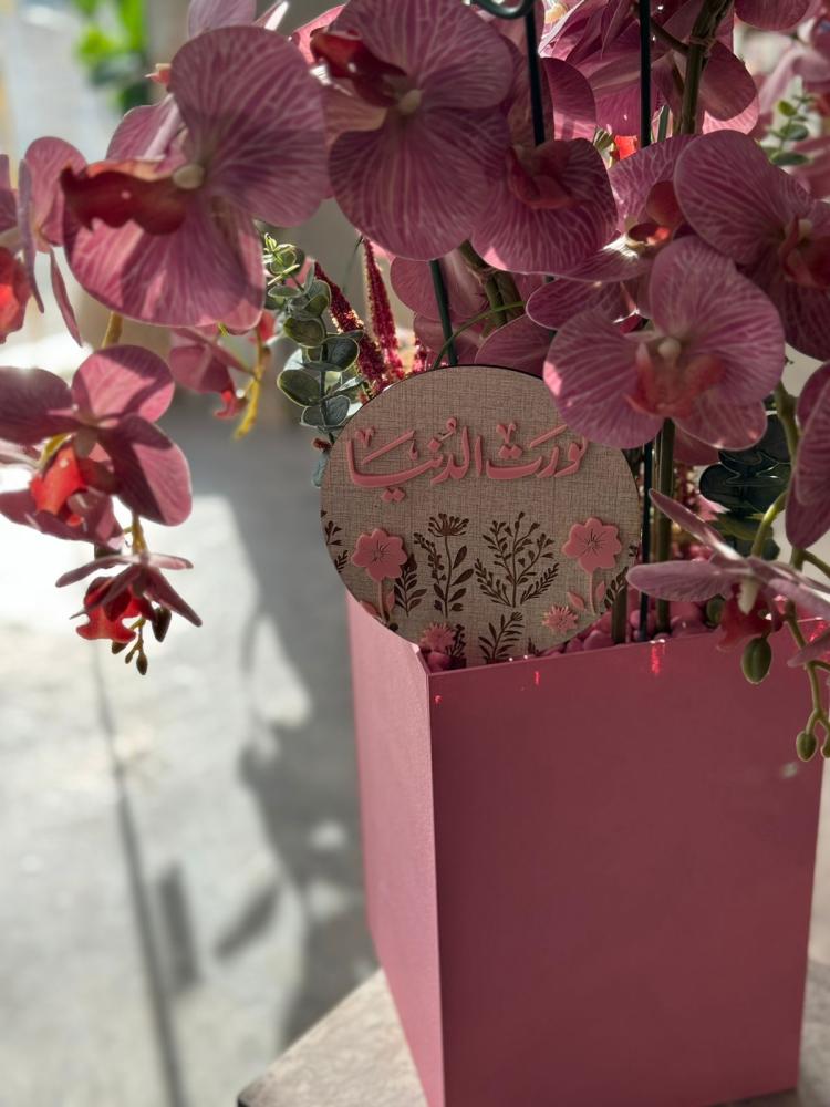 فازة الامبريلا