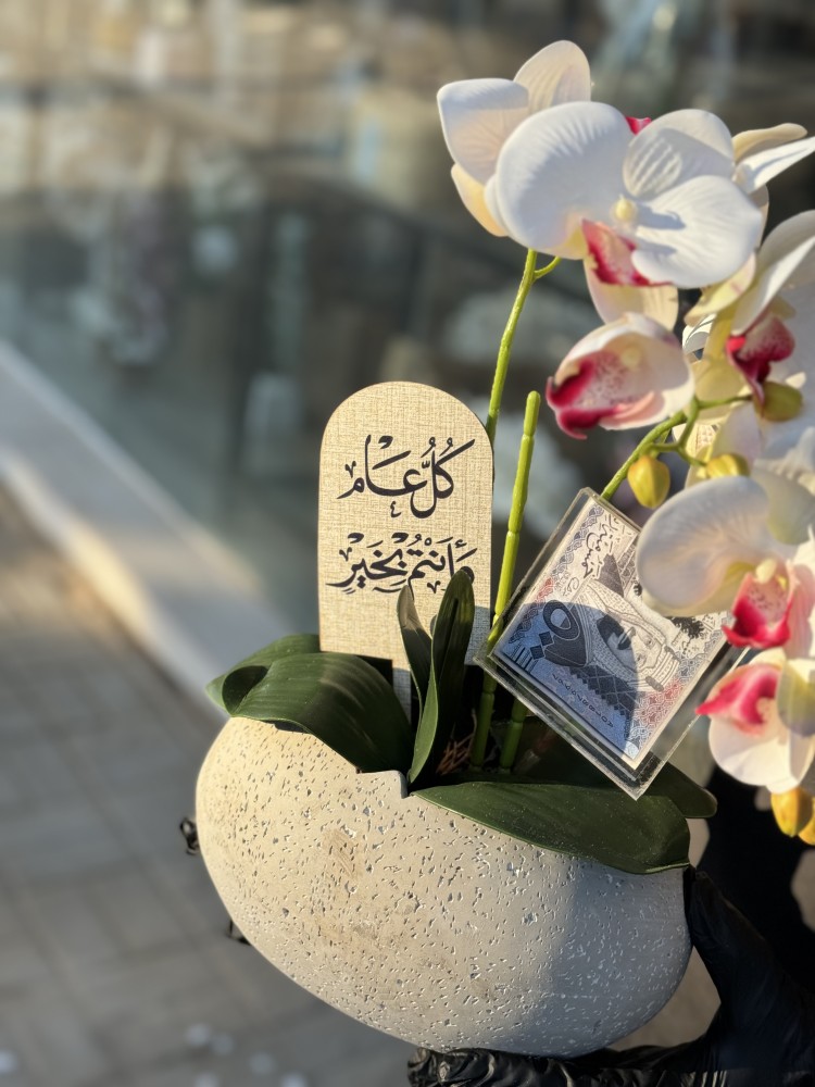 ورد الاوركيد مع الفازه الاسمنت