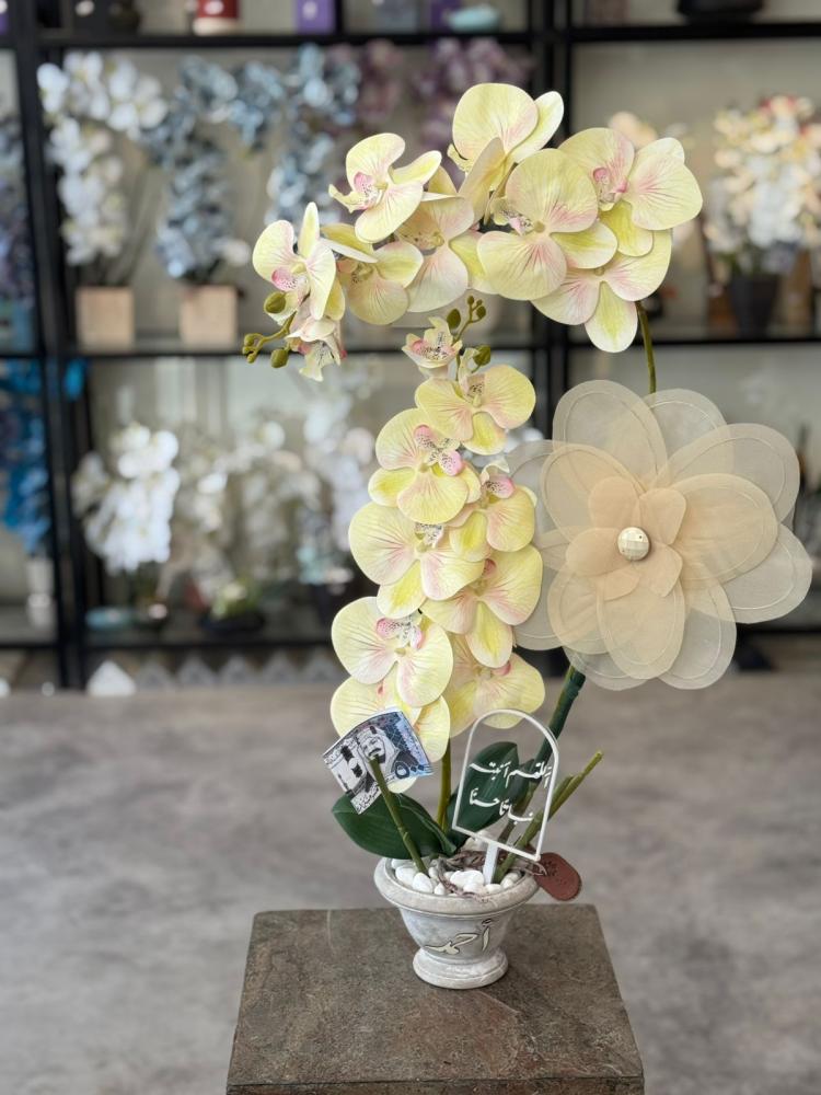 The cement vase with orchid flowers