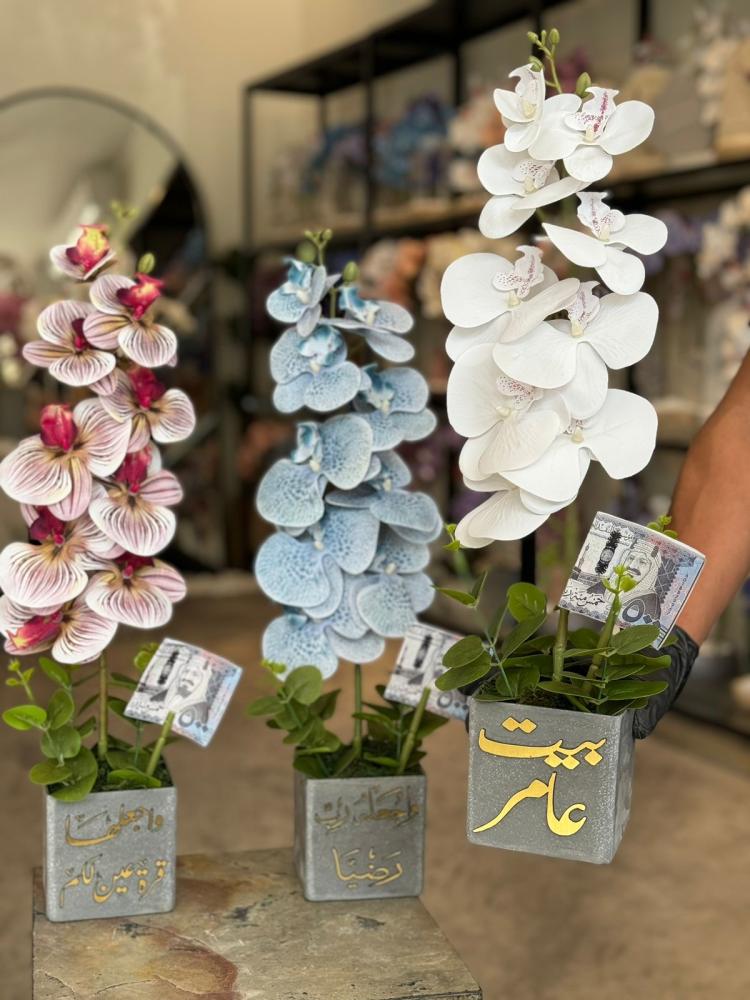 فازة الاوركيد
