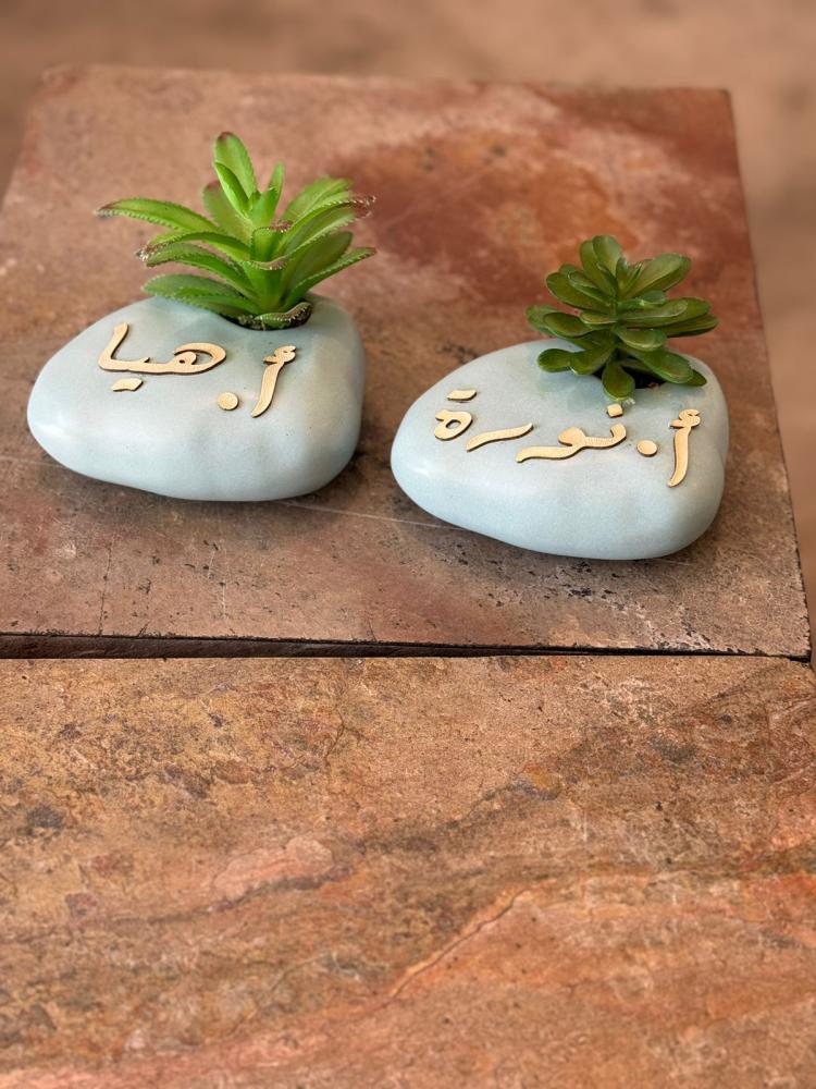 نبتة صناعية مع الكيس