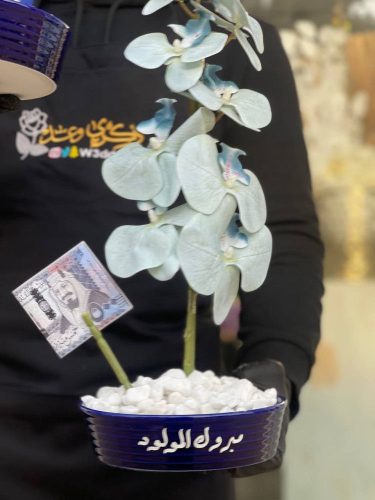 فازة الاوركيد