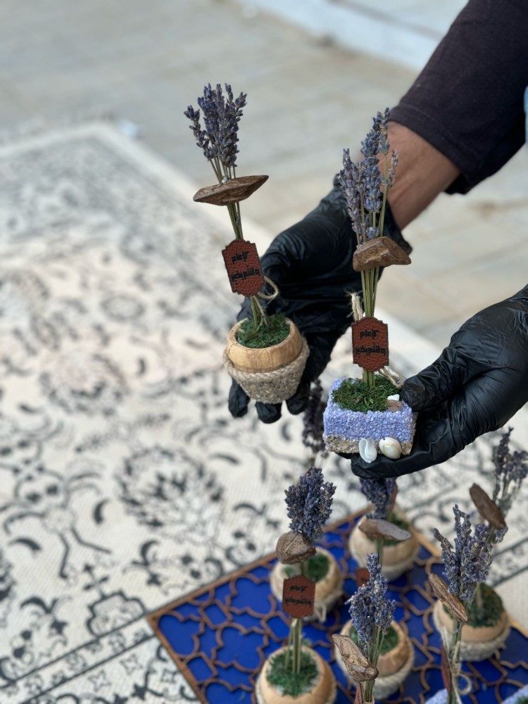 ميني لافندر طبيعي مجفف