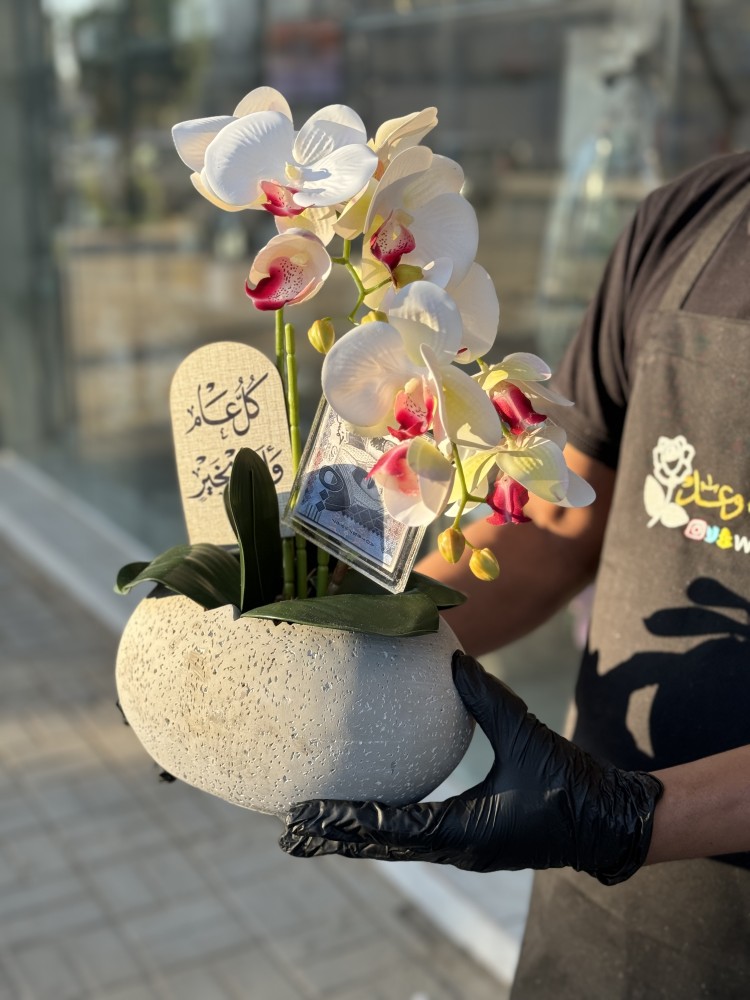 ورد الاوركيد مع الفازه الاسمنت