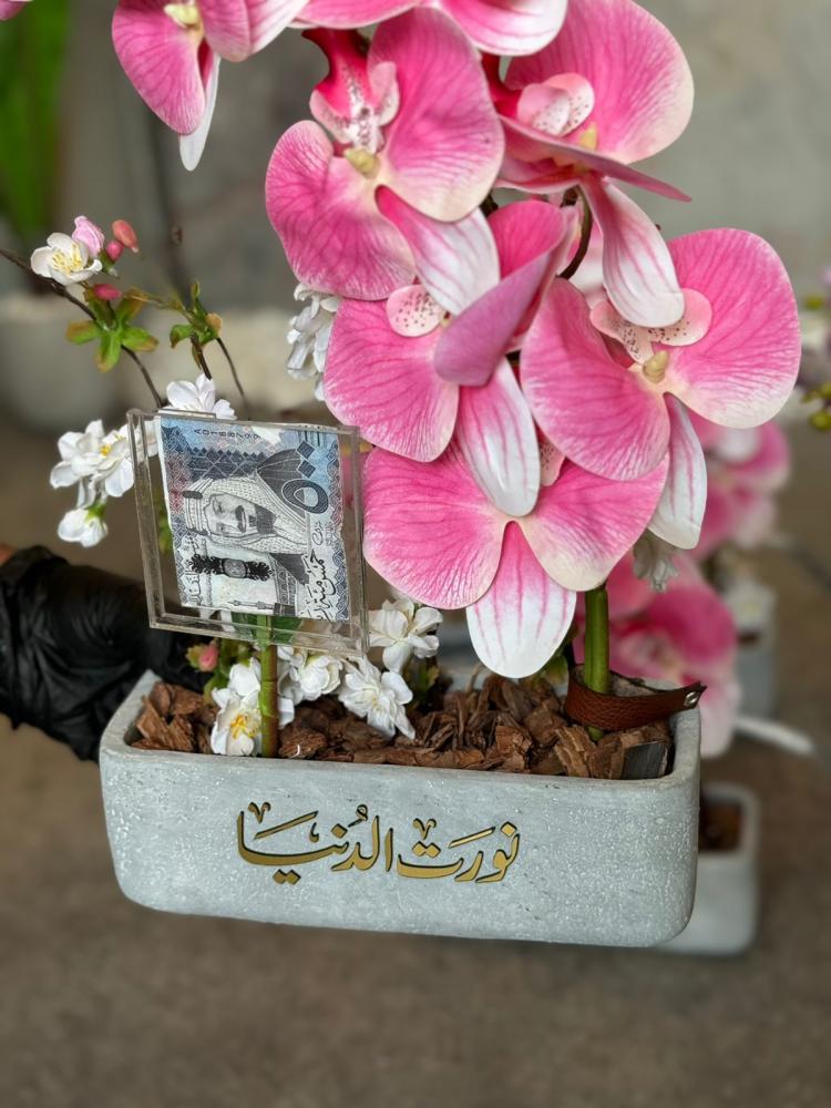 The cement vase with orchids and sakura