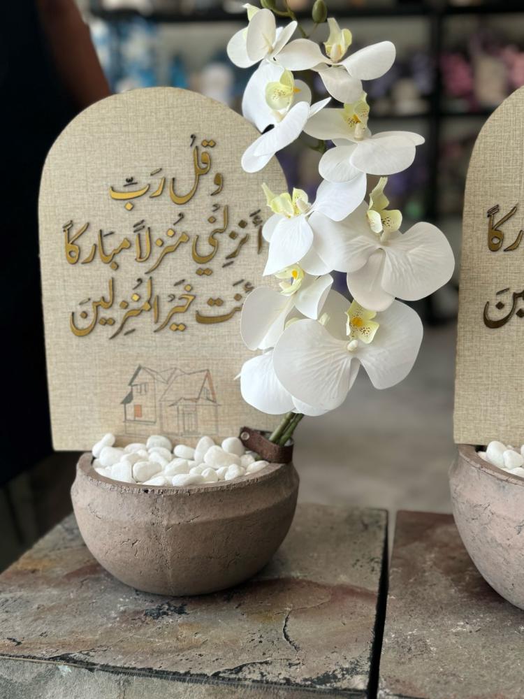 فازه اسمنت مع ورد الاوركيد الفاخر
