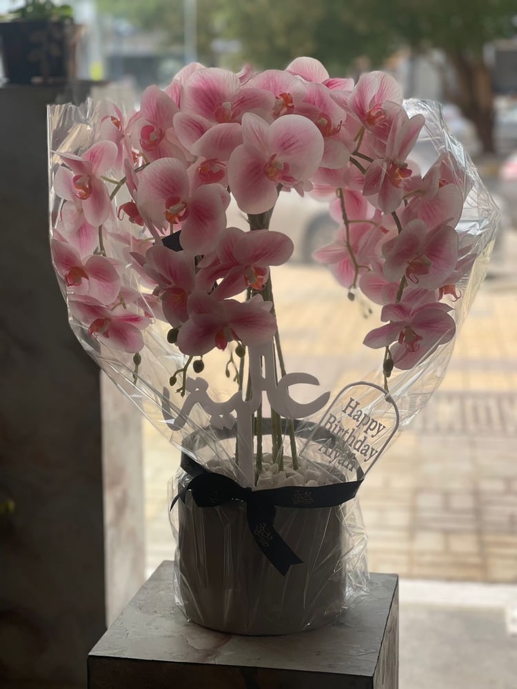 فازة اوركيد