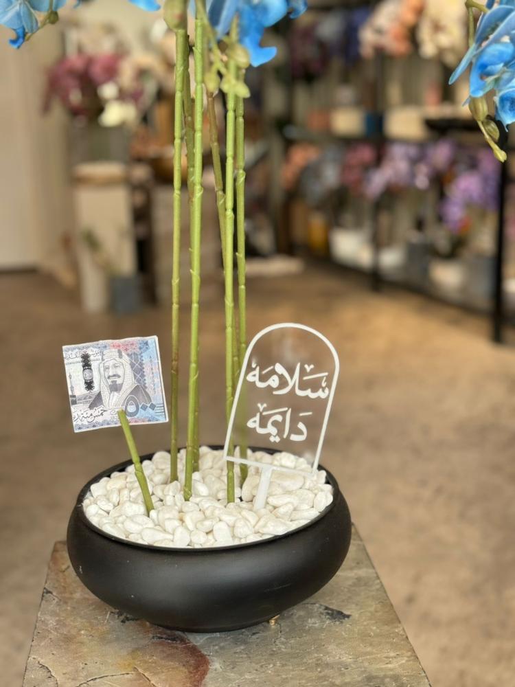 فازة الامبريلا