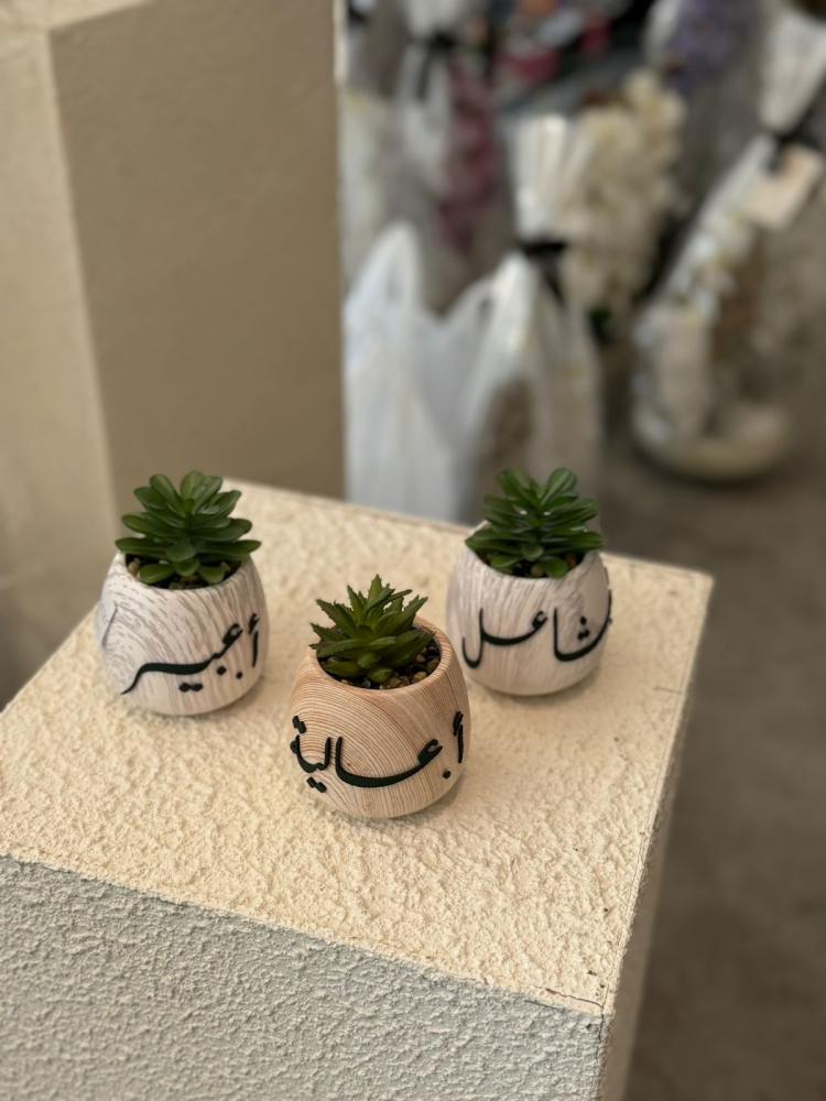 زرعة مكتبيه ليوم المعلم صناعي