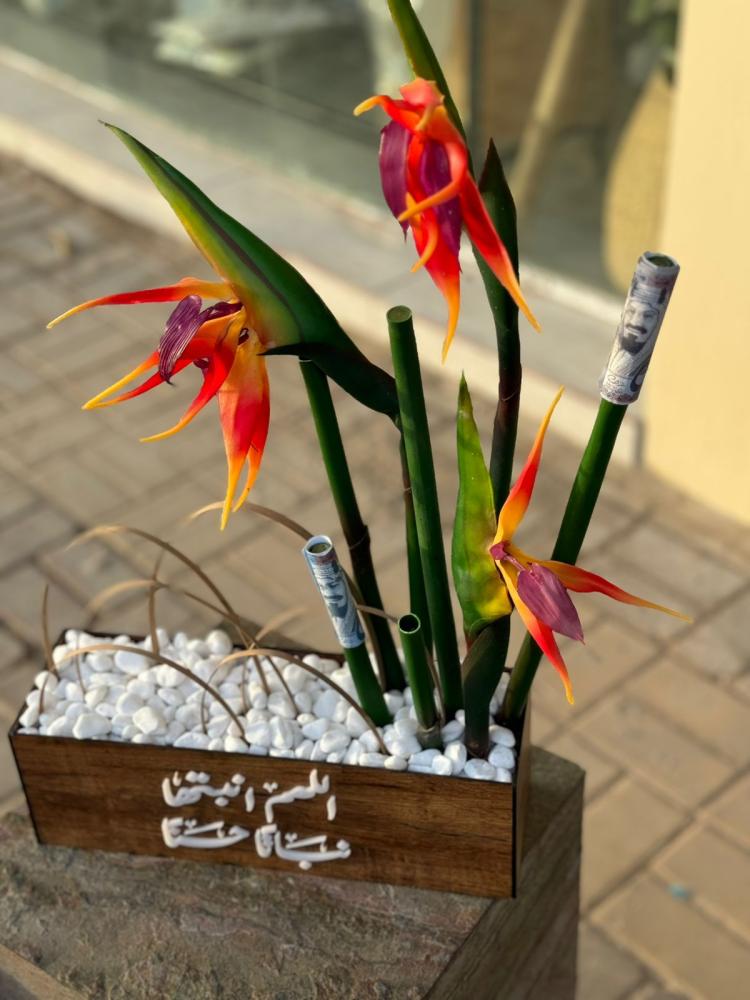 فازة عصفور الجنه