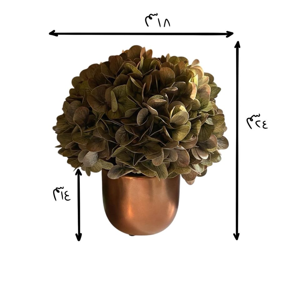 Hydrangea flower bouquet