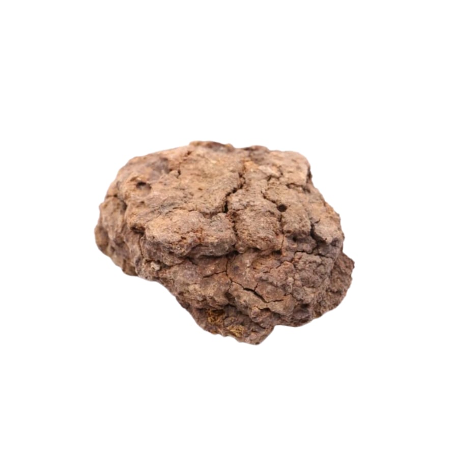 صن وبر